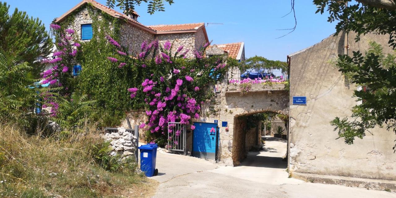 Charming Dalmatian Apartment With Panoramic View Tkon Bagian luar foto